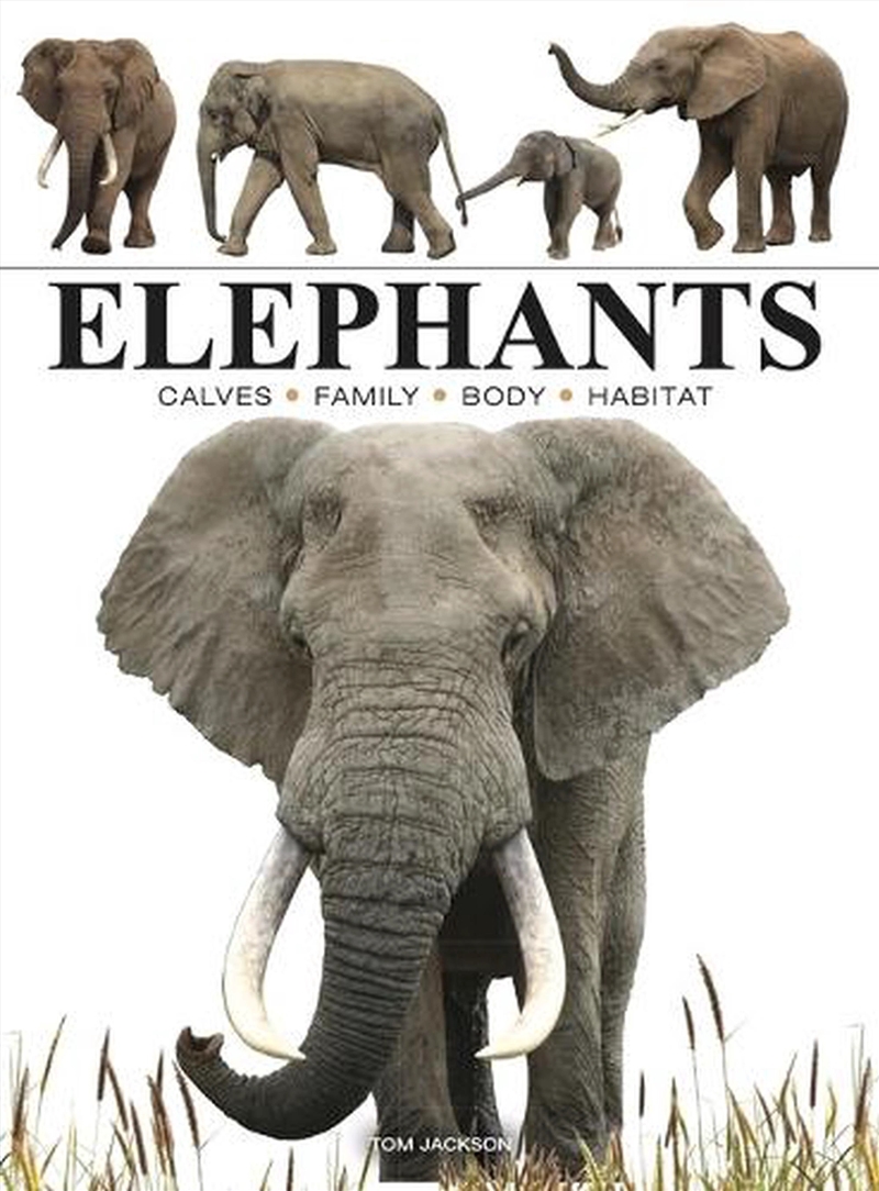 Elephants/Product Detail/Animals & Nature