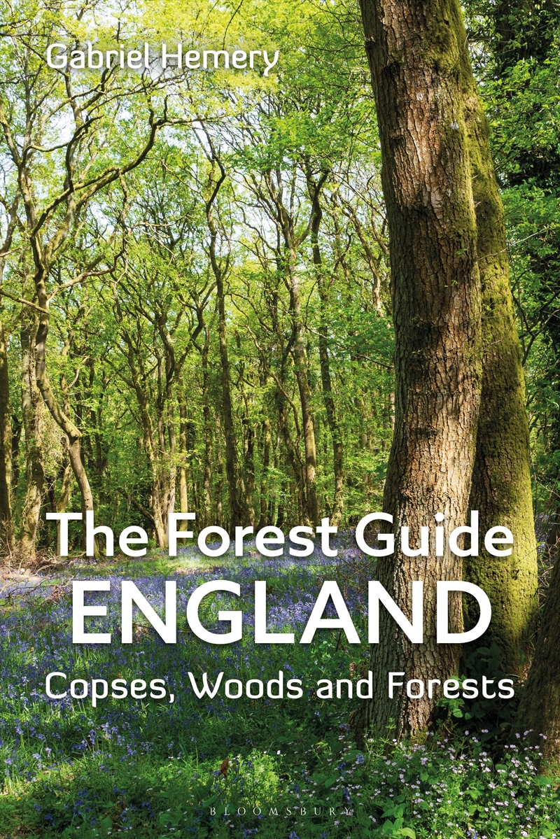 The Forest Guide: England: Copses, Woods And Forests Of England/Product Detail/Geography