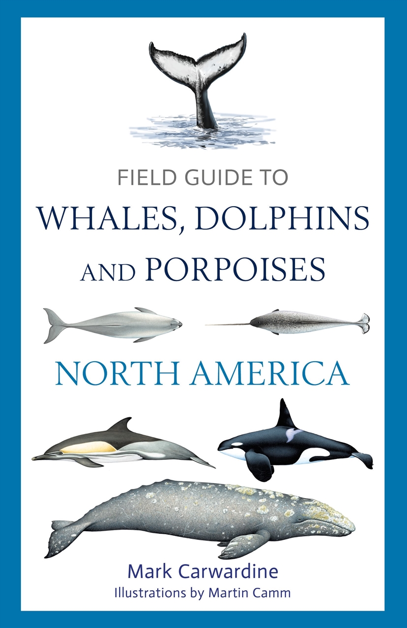 Field Guide To Whales, Dolphins And Porpoises Of North America/Product Detail/Animals & Nature