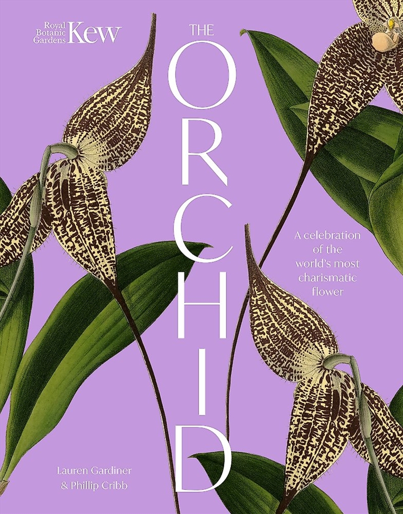 The Orchid/Product Detail/Art