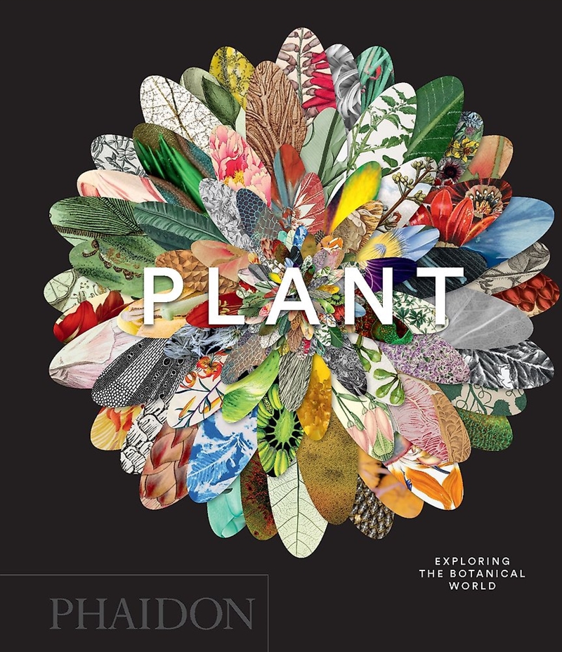 Plant/Product Detail/Art