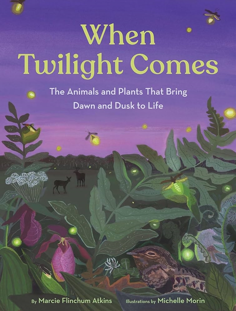 When Twilight Comes/Product Detail/Childrens Fiction Books