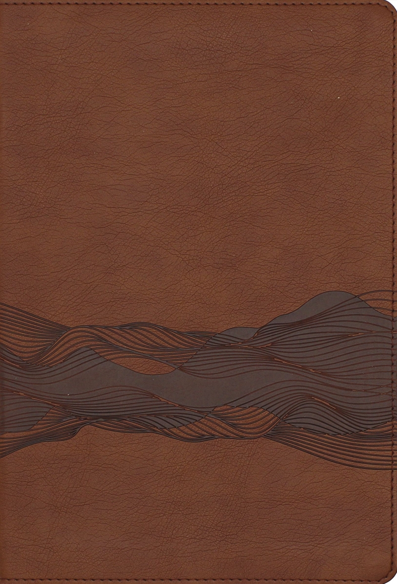 Niv, Timeline Bible, Red Letter, Comfort Print: A Chronological Journey Through Scripture/Product Detail/Religion & Beliefs