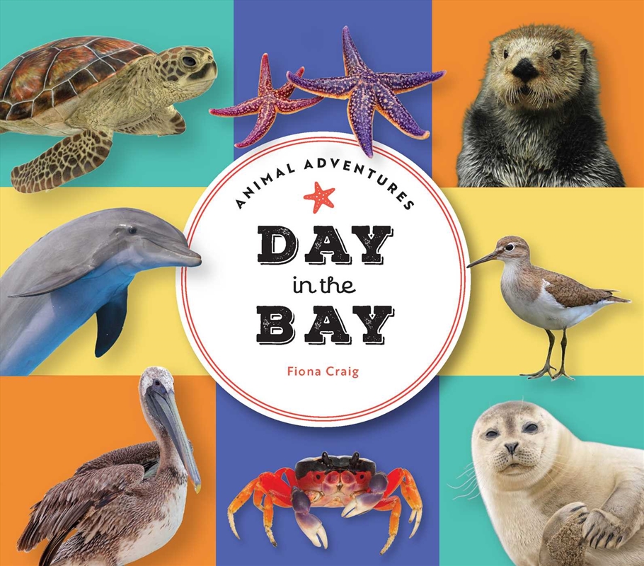 Animal Adventures: Day In The Bay/Product Detail/Childrens Fiction Books