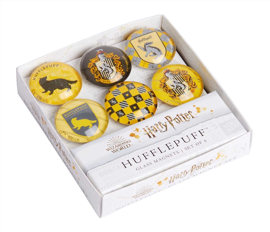 Harry Potter: Hufflepuff Glass Magnet Set (Set Of 6)/Product Detail/Art