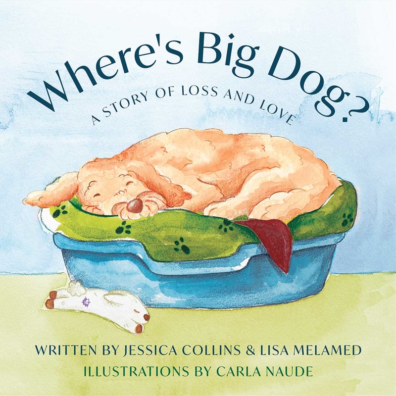 Where's Big Dog?/Product Detail/Childrens Fiction Books