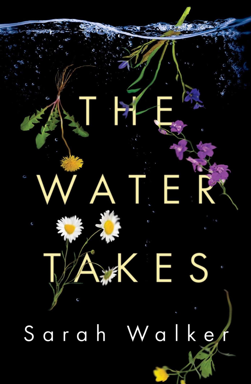 The Water Takes/Product Detail/Literature & Plays