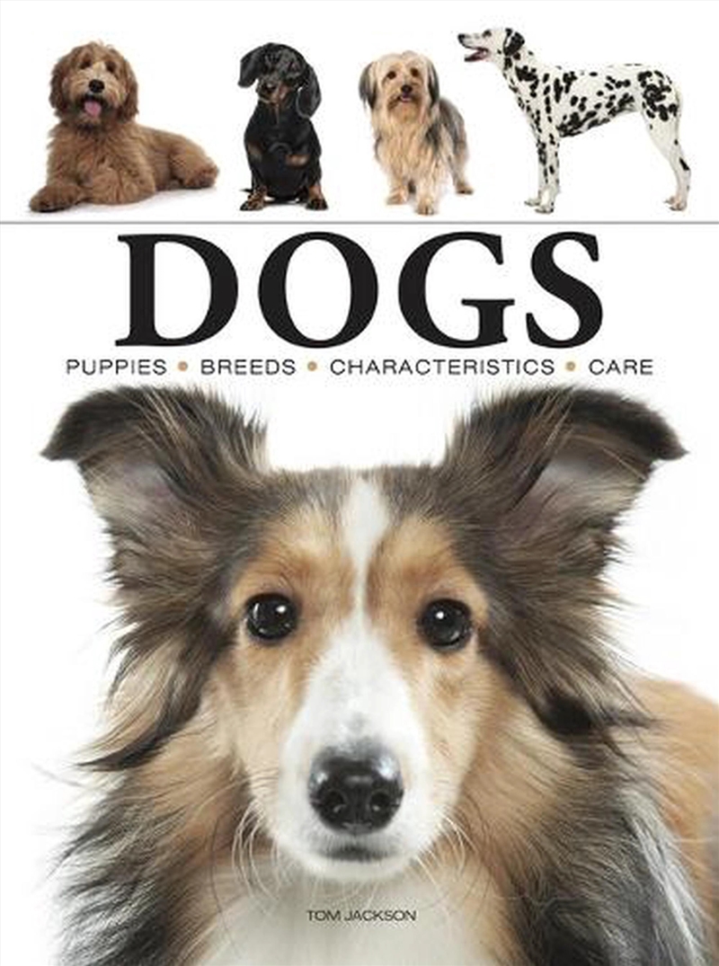 Dogs/Product Detail/Animals & Nature
