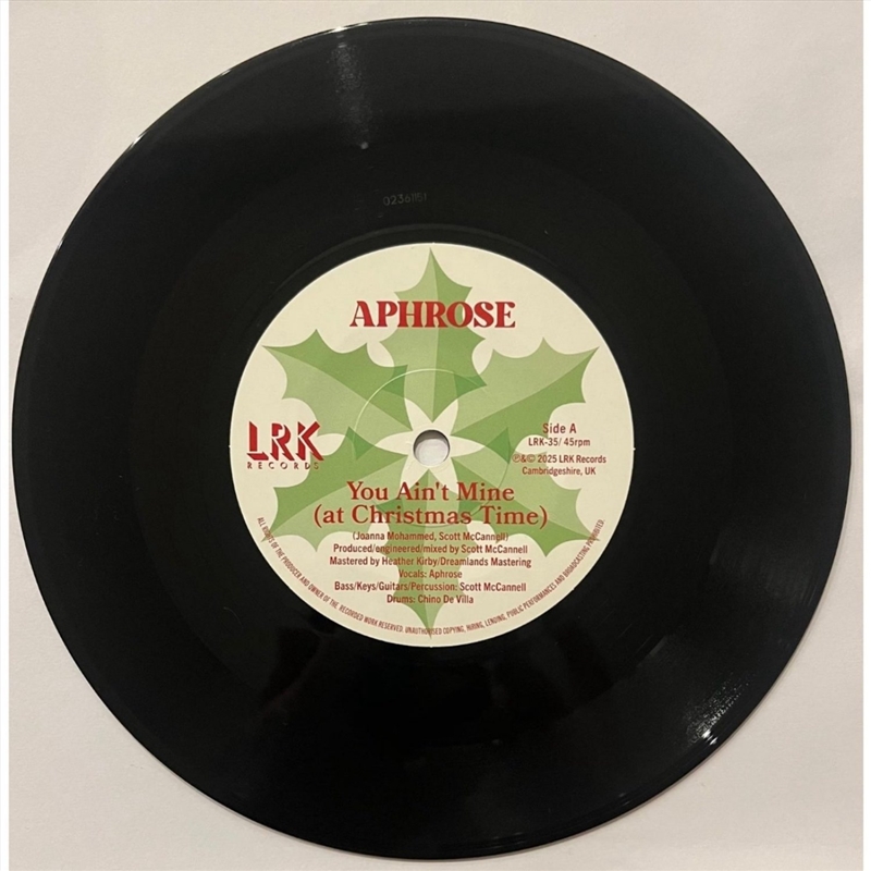 You Ain't Mine (At Christmas Time) / The Other 364/Product Detail/R&B