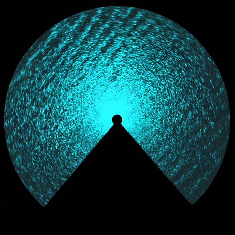 Echomora/Product Detail/Alternative