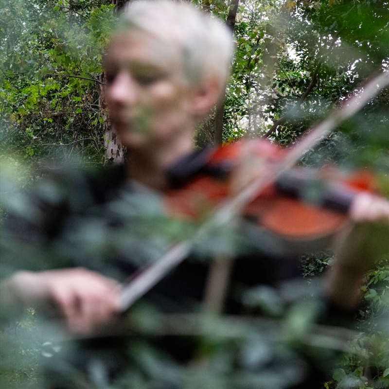 Divided By Dusk/Product Detail/Specialist