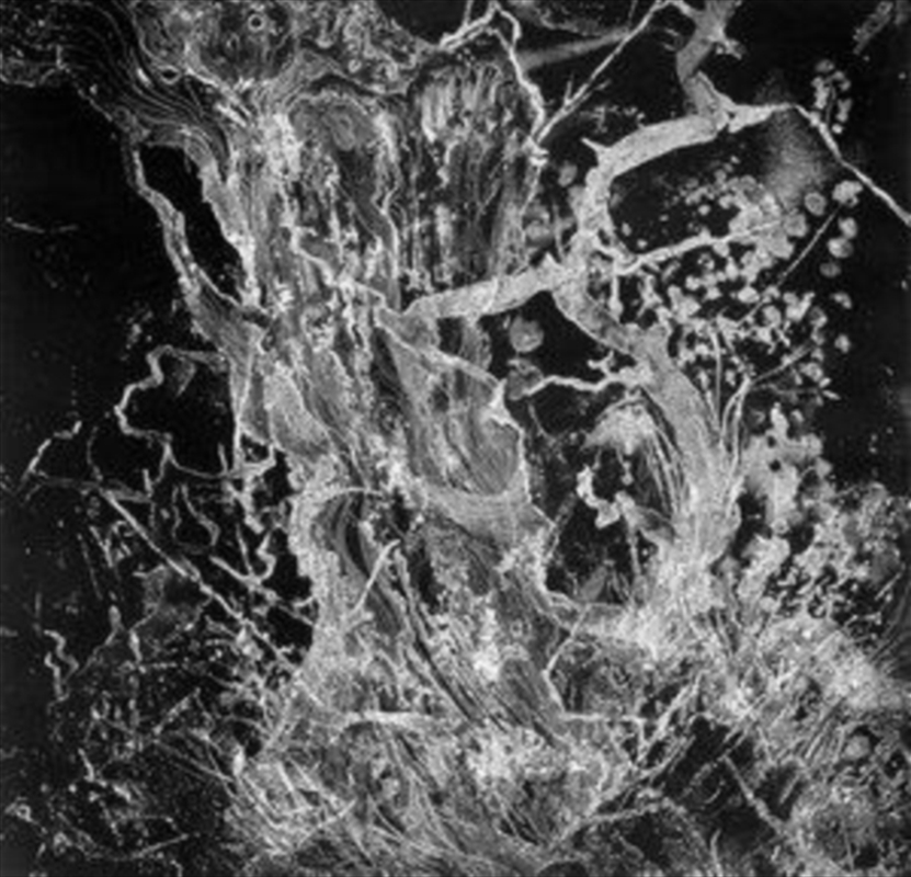 Monolith/Product Detail/Rock/Pop