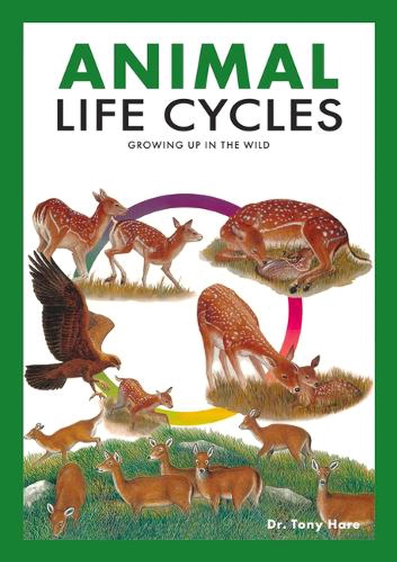 Animal Life Cycles/Product Detail/Childrens