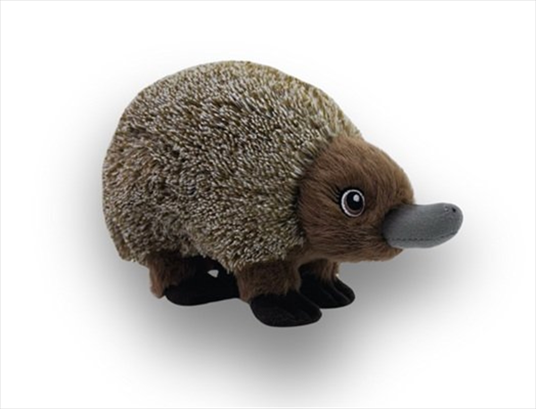 Eco Bub Echidna 18cm/Product Detail/Plush Toys