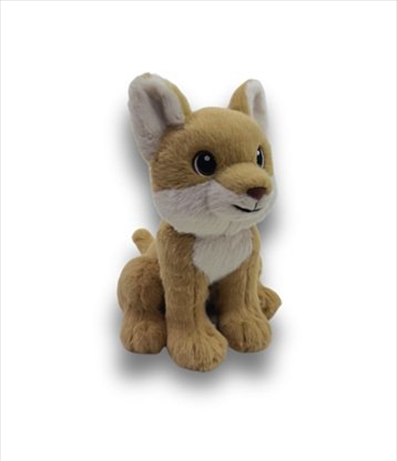 Eco Bub Dingo 18cm/Product Detail/Plush Toys