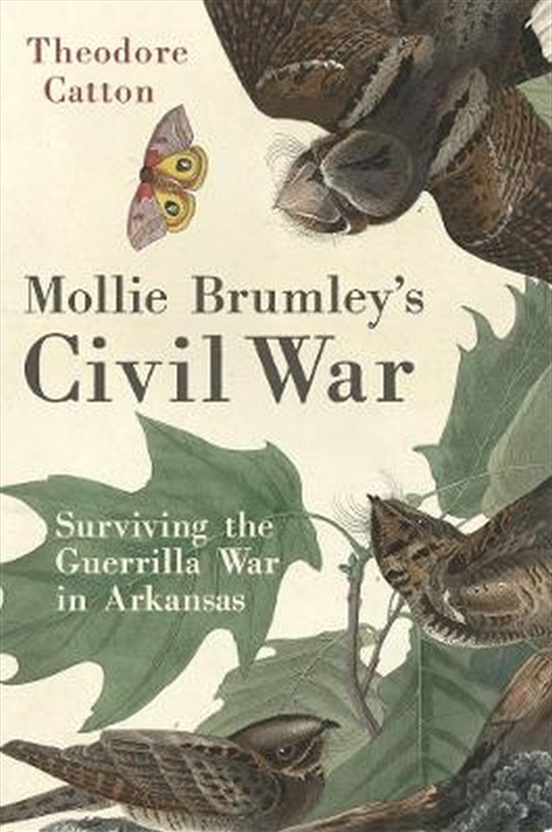 Mollie Brumley's Civil War/Product Detail/History