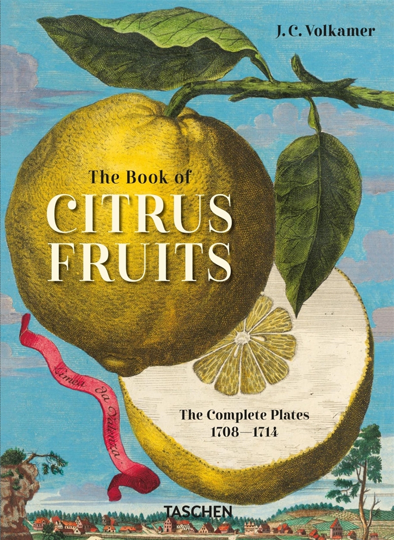J. C. Volkamer. The Book Of Citrus Fruits. 45th Ed./Product Detail/Art