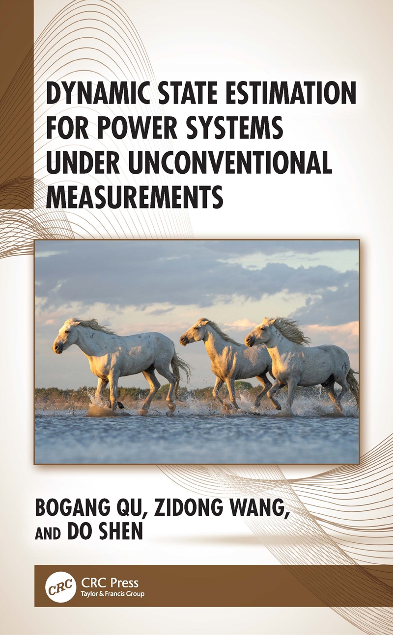 Dynamic State Estimation for Power Systems under Unconventional Measurements/Product Detail/Reading