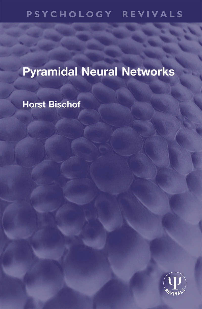 Pyramidal Neural Networks/Product Detail/Computing & IT