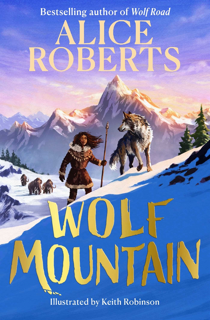 Wolf Mountain/Product Detail/Childrens Fiction Books