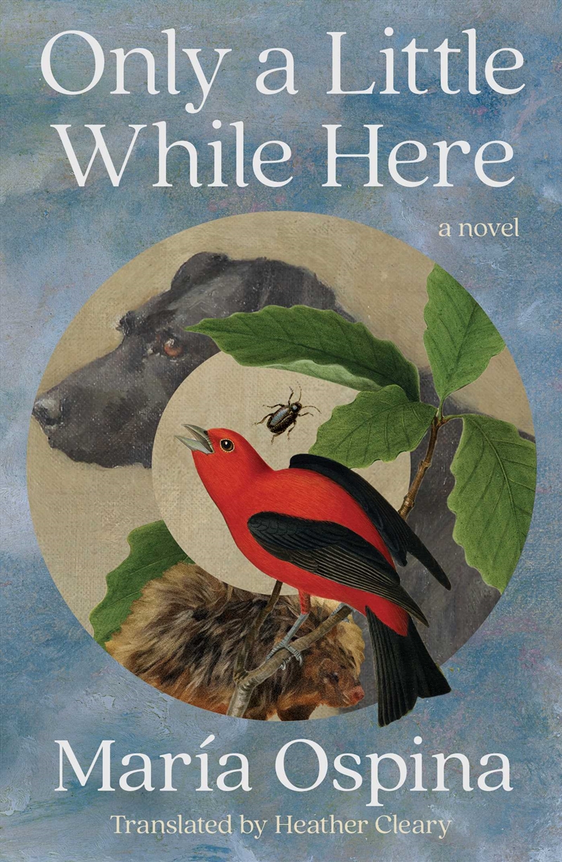 Only a Little While Here/Product Detail/Literature & Plays