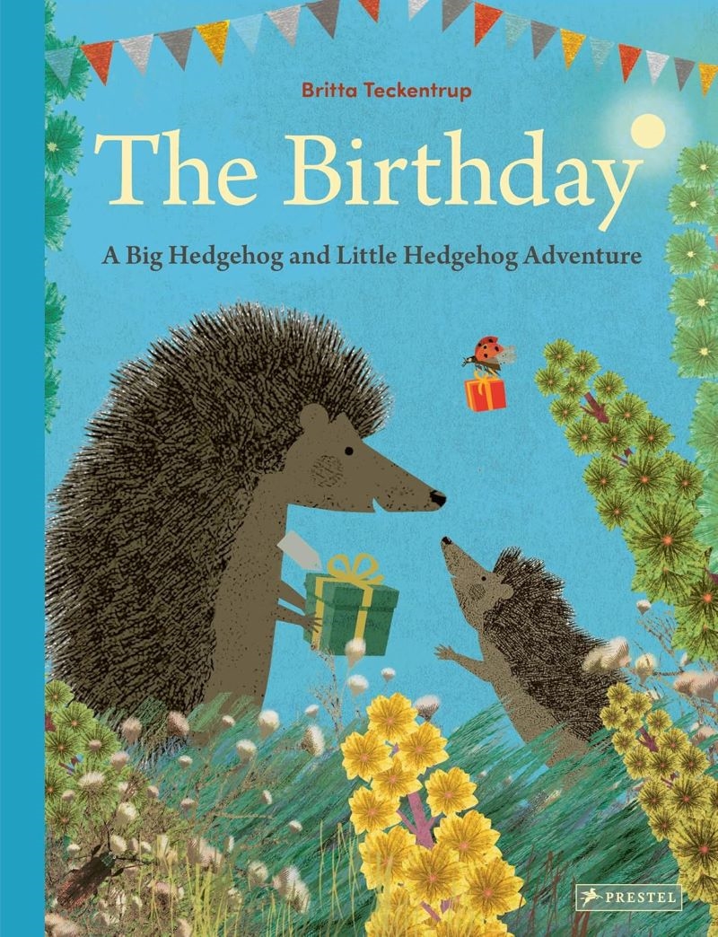 Birthday: A Big Hedgehog and Little Hedgehog Adventure/Product Detail/Early Childhood Fiction Books