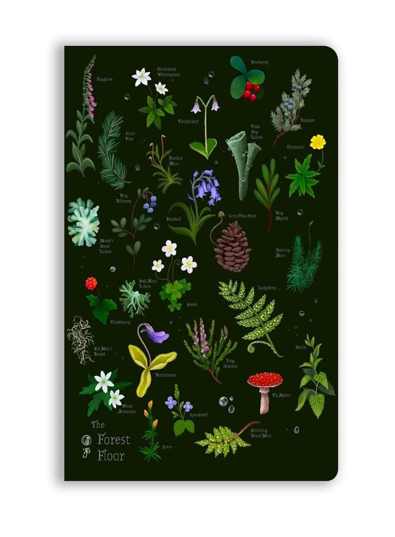 Soft Touch Journal: Anna Stead, The Forest Floor/Product Detail/Notebooks & Journals