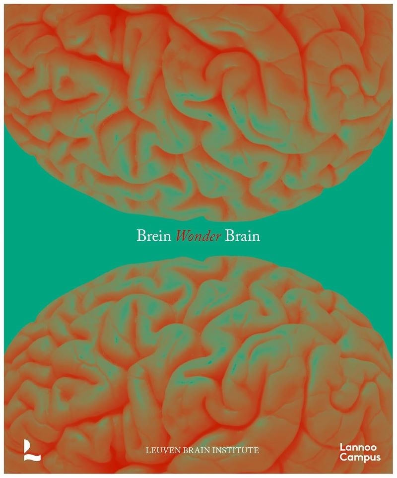 Wonder Brain/Product Detail/Science