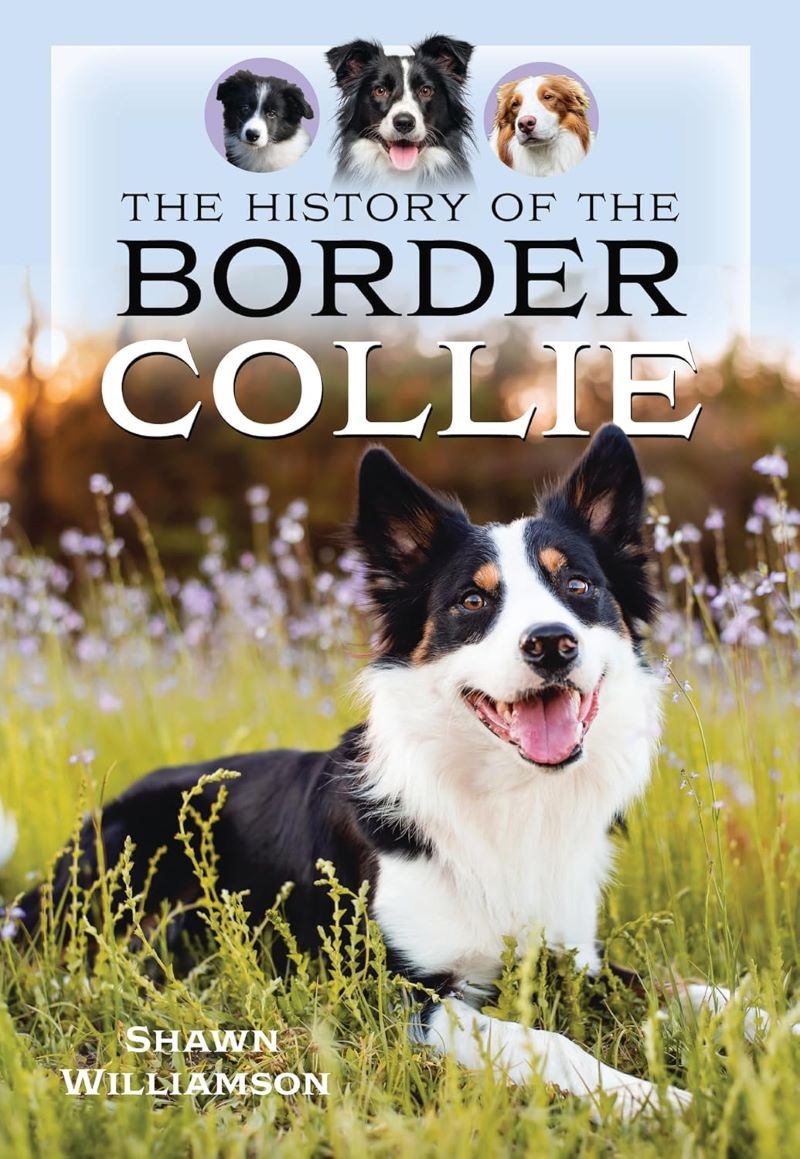 History of the Border Collie/Product Detail/Animals & Nature