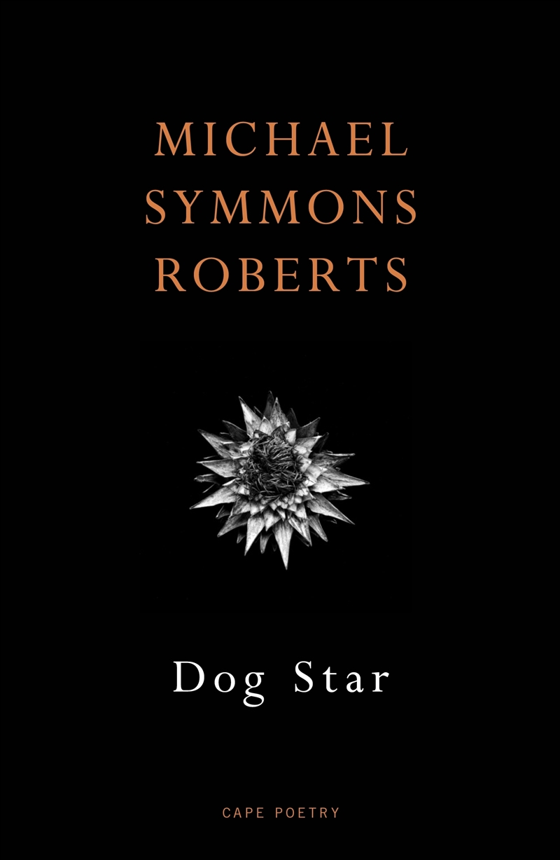Dog Star/Product Detail/Reading