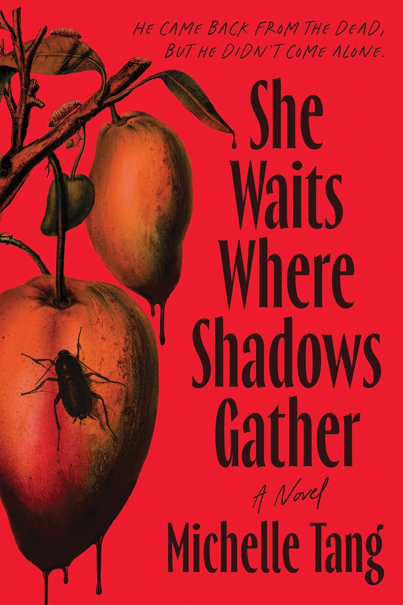 She Waits Where Shadows Gather/Product Detail/Fantasy Fiction