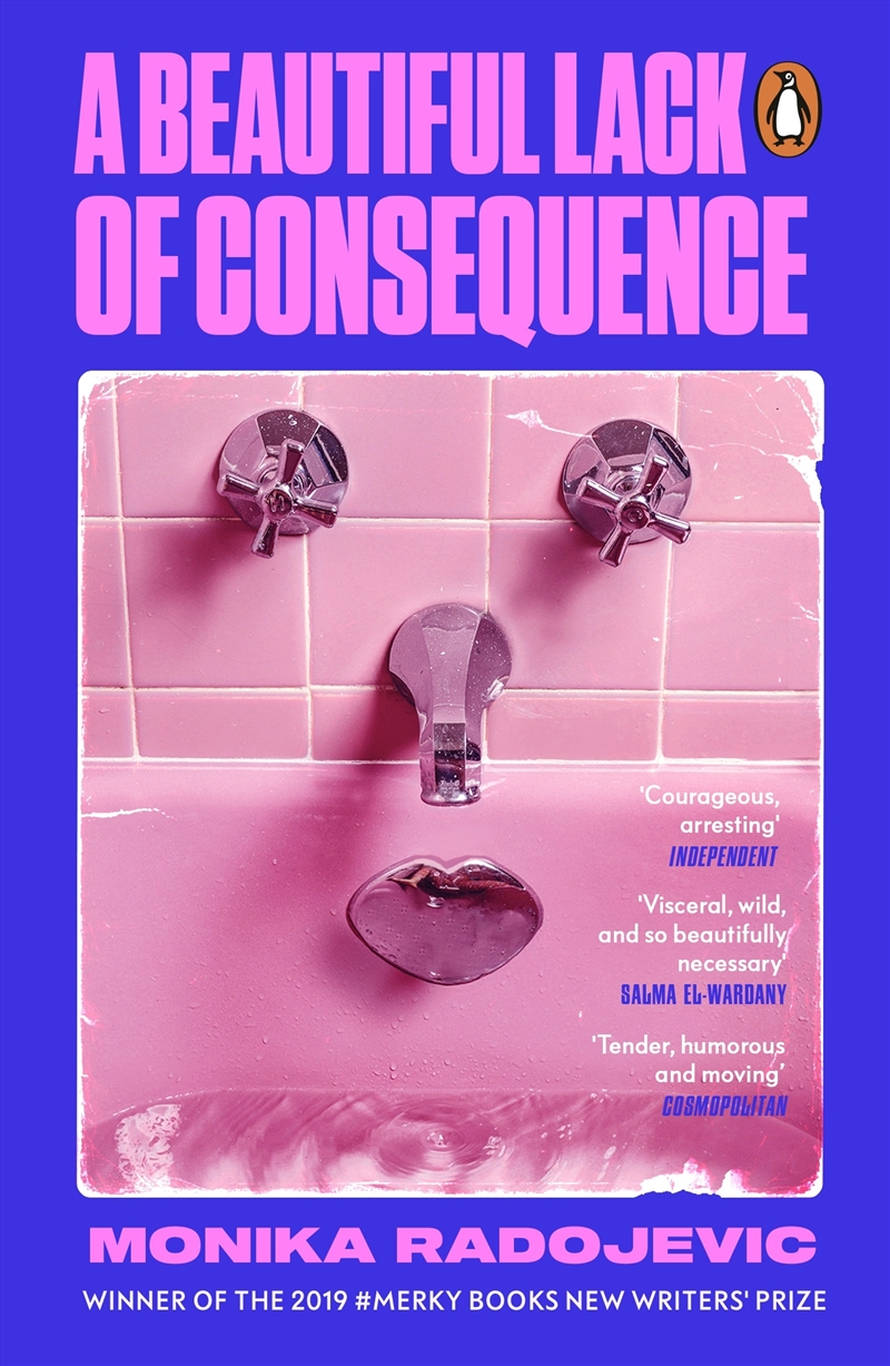 A Beautiful Lack of Consequence/Product Detail/General Fiction Books