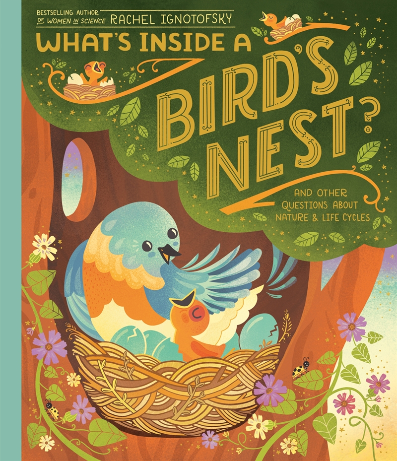 What's Inside A Bird's Nest?/Product Detail/Childrens