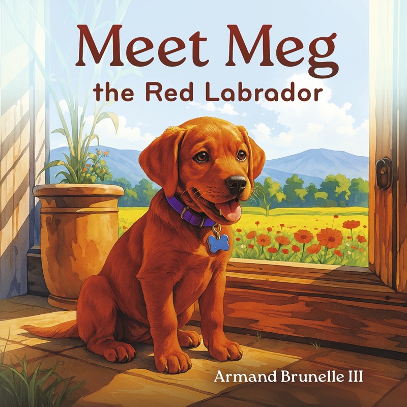 Meet Meg the Red Labrador/Product Detail/Early Childhood Fiction Books