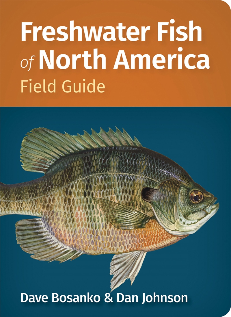 Freshwater Fish of North America/Product Detail/Animals & Nature