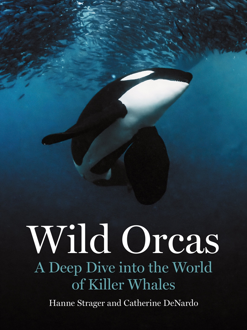 Wild Orcas/Product Detail/Animals & Nature