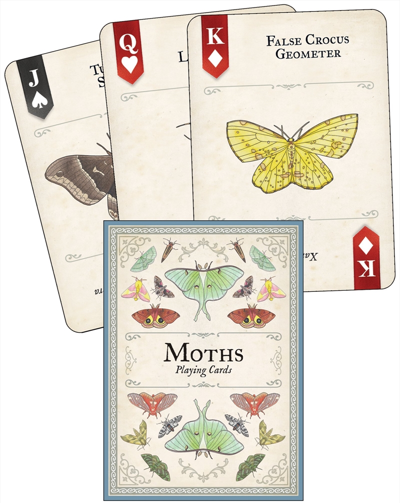 Moths Playing Cards/Product Detail/Card Games