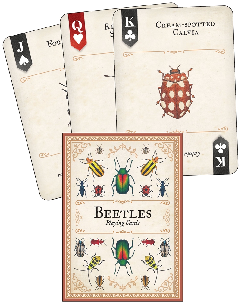 Beetles Playing Cards/Product Detail/Card Games