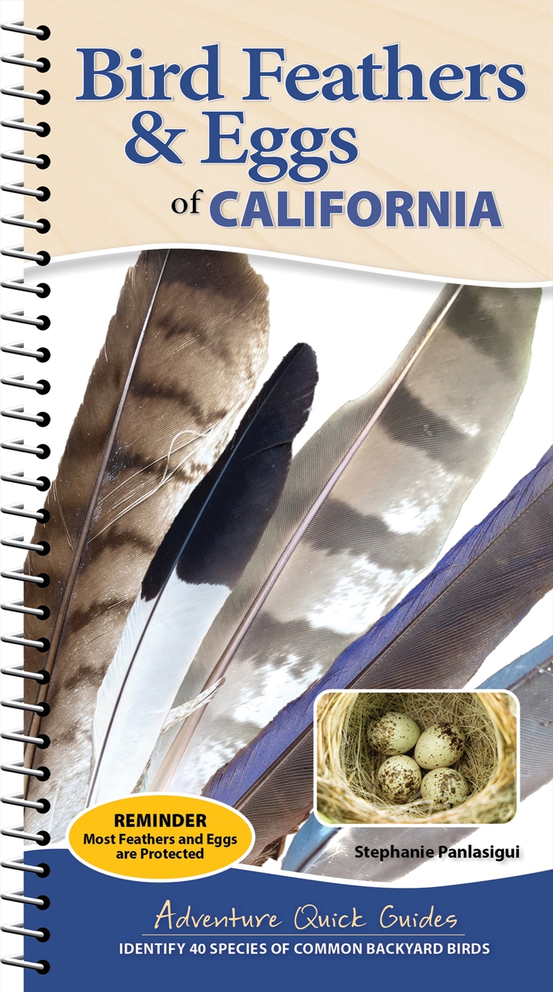 Bird Feathers & Eggs of California/Product Detail/Sport & Recreation