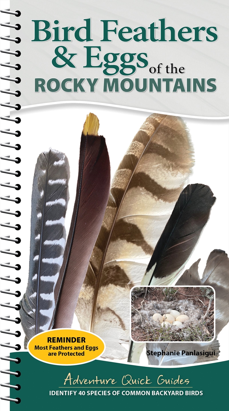 Bird Feathers & Eggs of the Rocky Mountains/Product Detail/Sport & Recreation