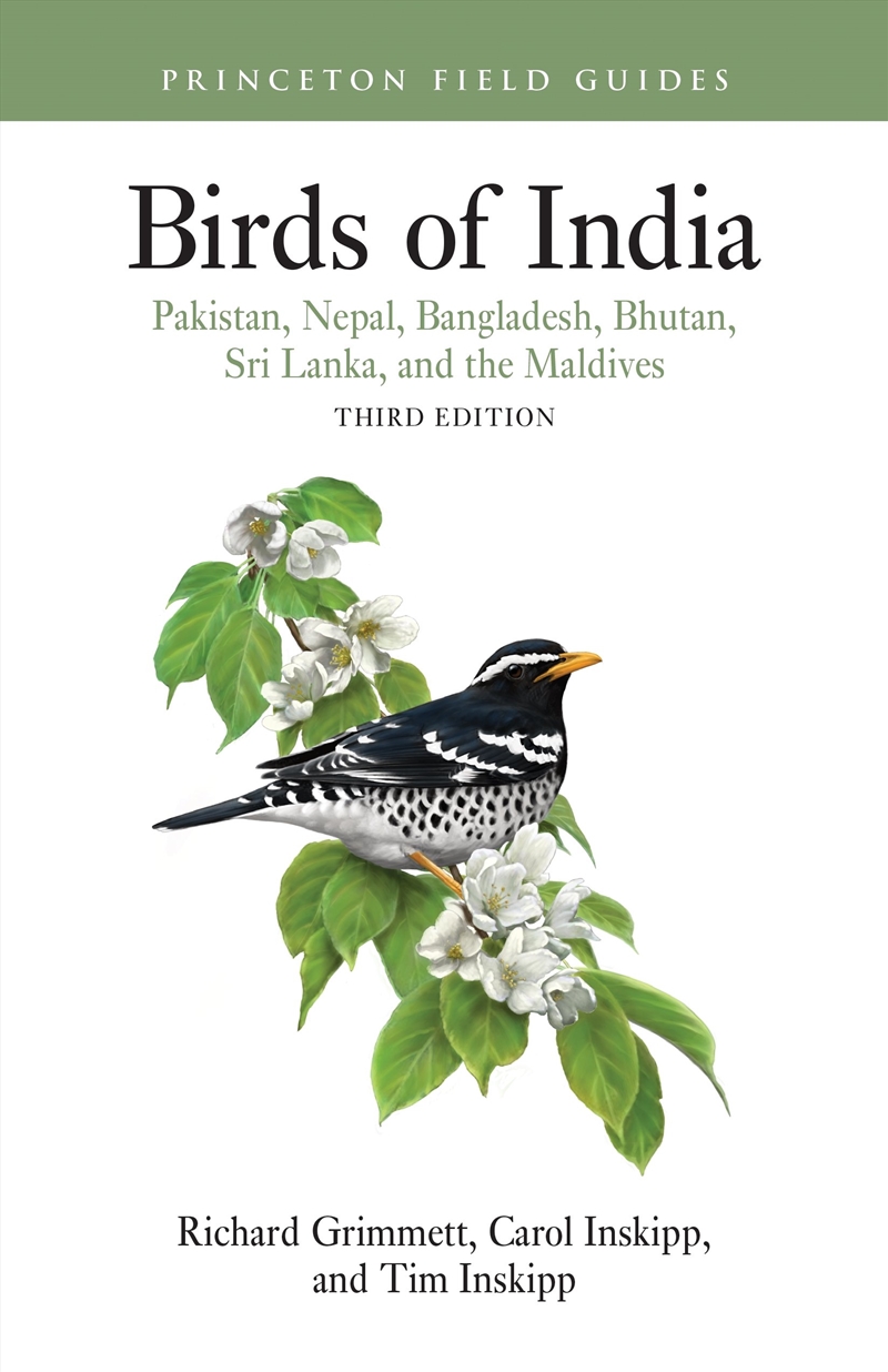 Birds of India/Product Detail/Animals & Nature