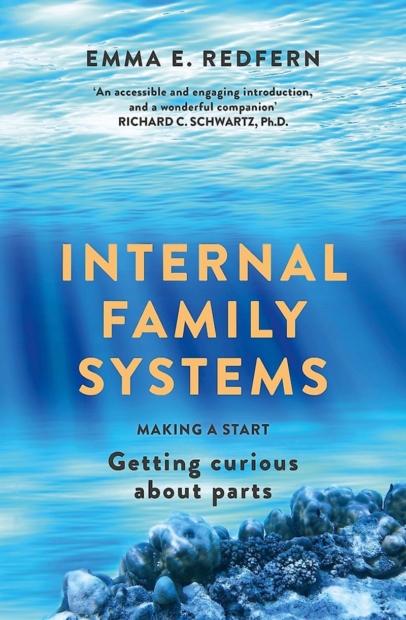 Internal Family Systems/Product Detail/Healthcare