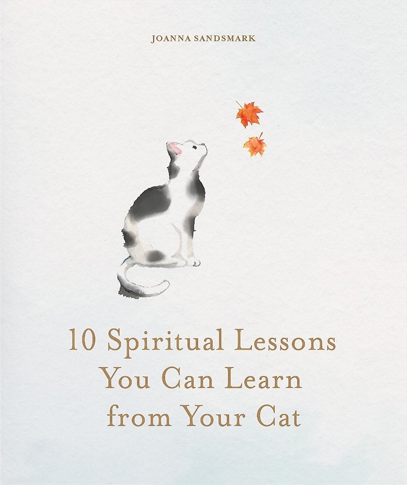 10 Spiritual Lessons You Can Learn From Your Cat/Product Detail/Family & Health