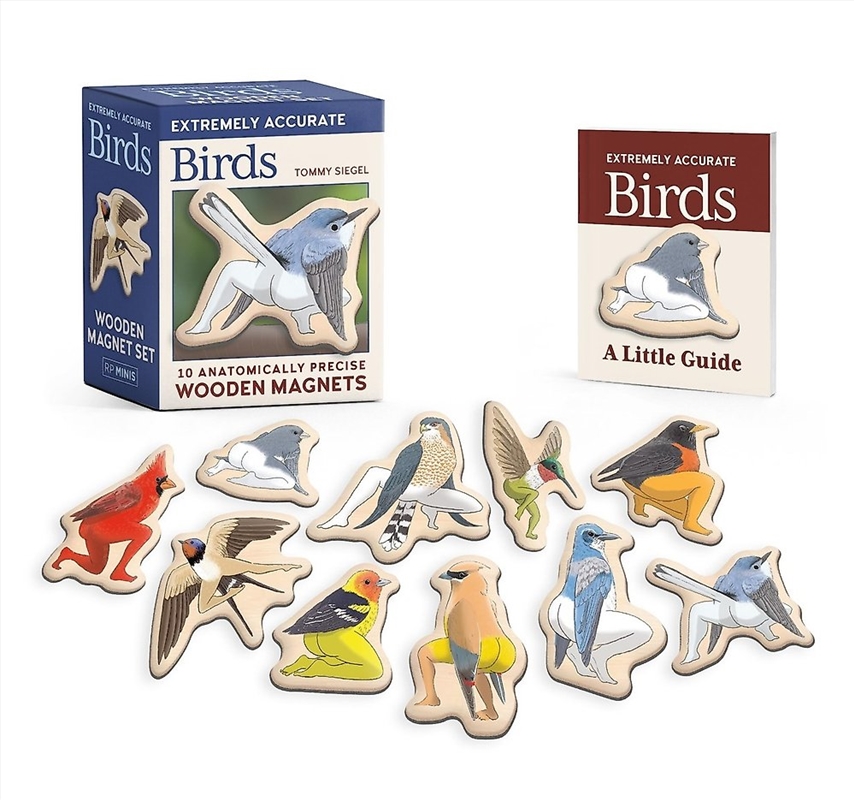 Extremely Accurate Birds Wooden Magnet Set/Product Detail/Stationery