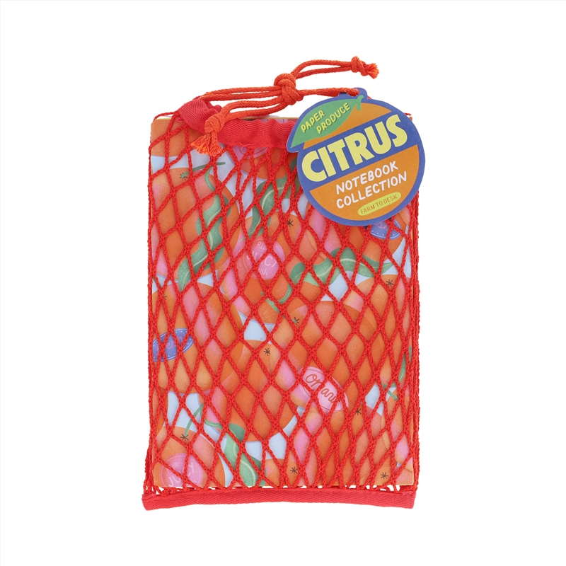 Paper Produce Citrus Notebook Collection/Product Detail/Notebooks & Journals