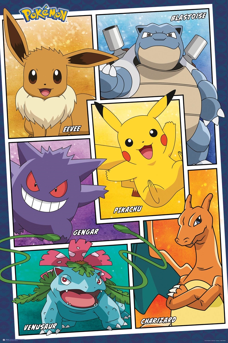 Pokemon - Panels Level Up - Reg Poster/Product Detail/Posters & Prints