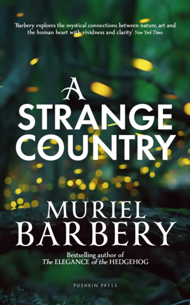A Strange Country/Product Detail/Fantasy Fiction