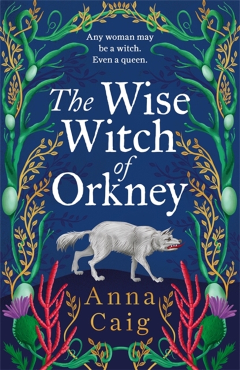 The Wise Witch of Orkney/Product Detail/Historical Fiction