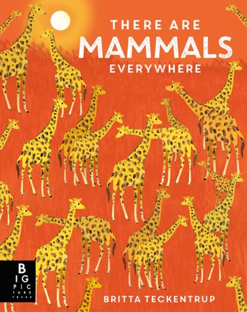 There are Mammals Everywhere/Product Detail/Childrens