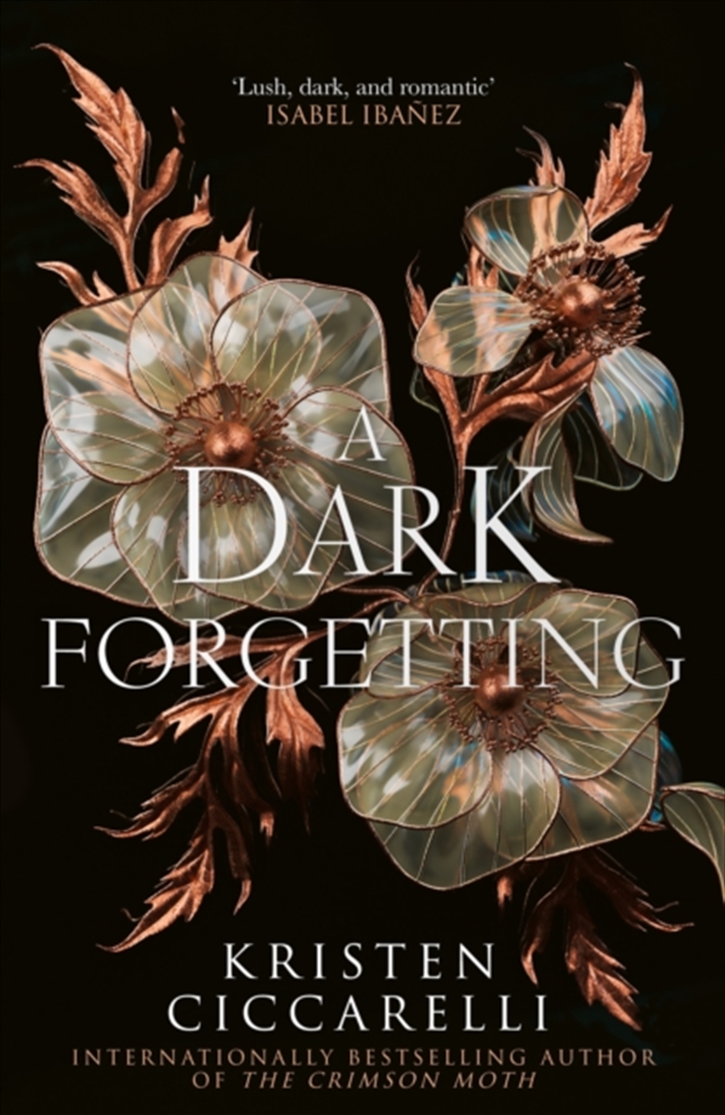 A Dark Forgetting/Product Detail/Fantasy Fiction
